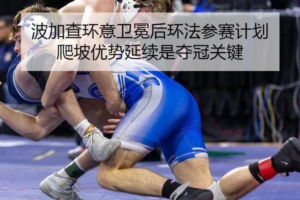 bo-jia-cha-huan-yi-wei-mian-hou-huan-fa-can-sai-ji-hua-pa-po-you-shi-yan-xu-shi-duo-guan-guan-jian-3-470.jpg